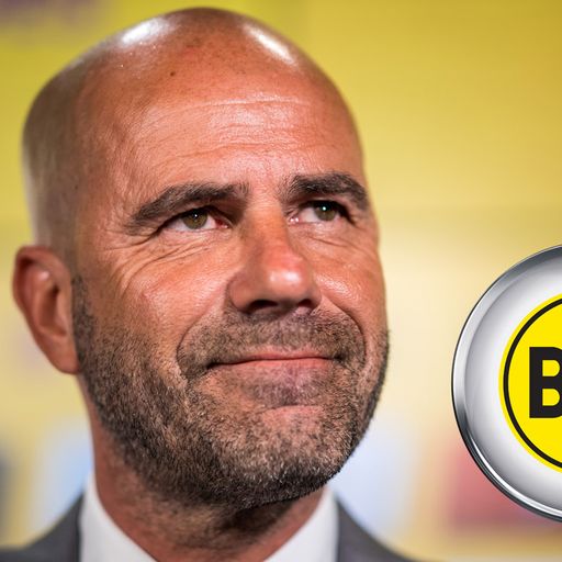 Borussia Dortmund: Zu- und Abgänge