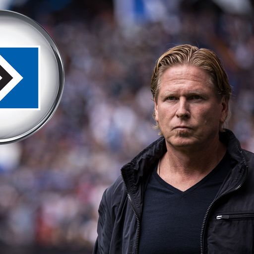 Hamburger SV: Zu- und Abgänge