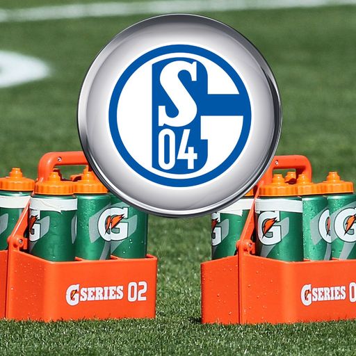 Der Sommerplan von Schalke 04
