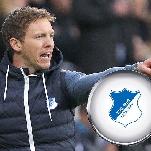 TSG Hoffenheim: Zu- und Abgänge