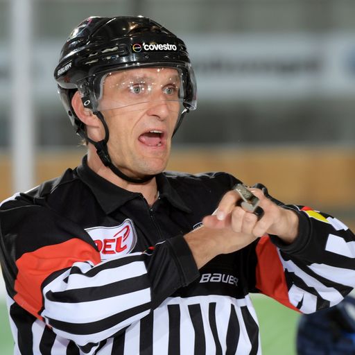 DEL führt "Schwalbenliste" ein