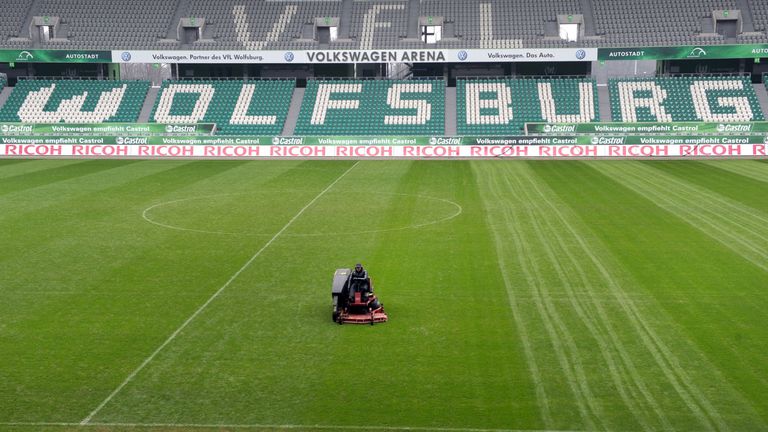 Pilz-Alarm auf dem Rasen der Volkswagen Arena.
