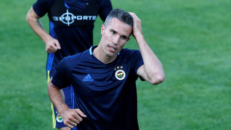 Robin van Persie hat sich einen Kreuzbandriss zugezogen.