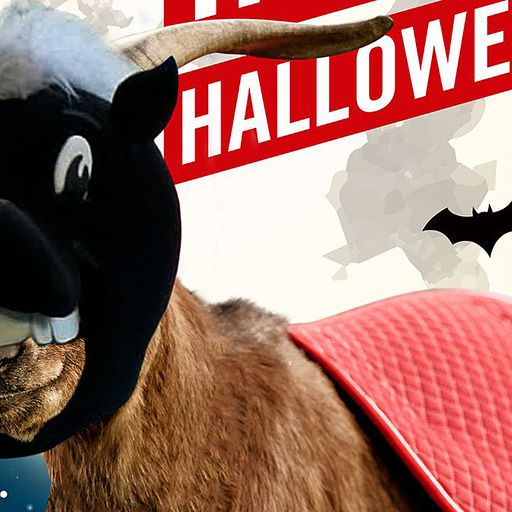 Twitter-Battle: Köln und Gladbach im Zwist