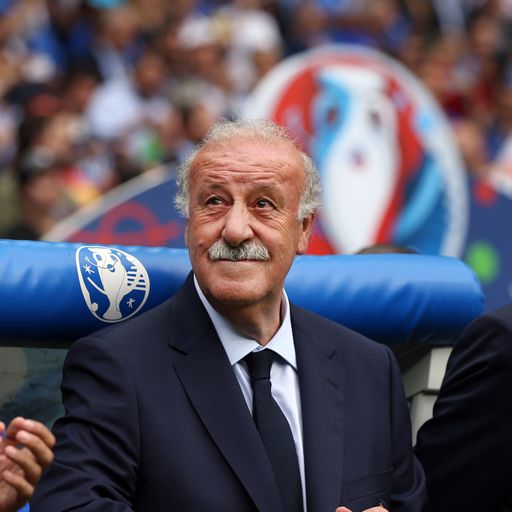 Del Bosque: DFB-Team ein "außergewöhnliches Beispiel"