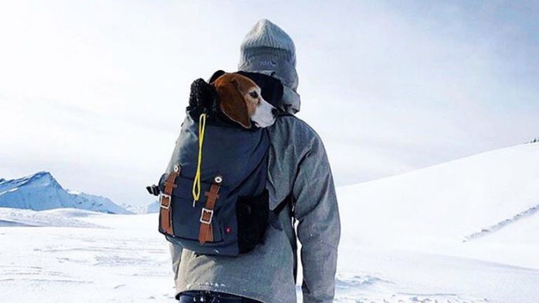 Herthas Valentin Stocker genießt die Ruhe mit seinem Hund bei einer Schneeschuhwanderung. (Quelle: Instagram/@vstocker89)
