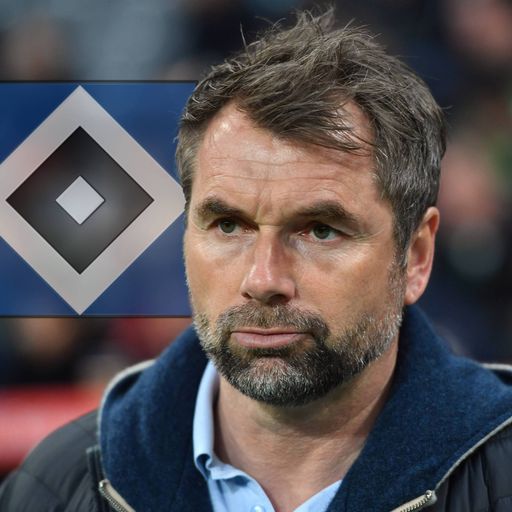 Dino-Rettung: Nur jeder dritte Fan glaubt an Hollerbach