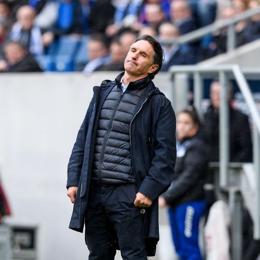 Zum Spielbericht: Wölfe verlieren auch bei der TSG