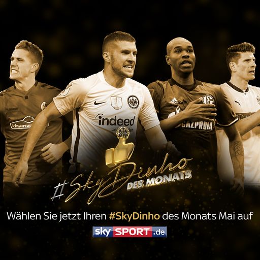 #SkyDinho im Mai - Stimmt hier ab!