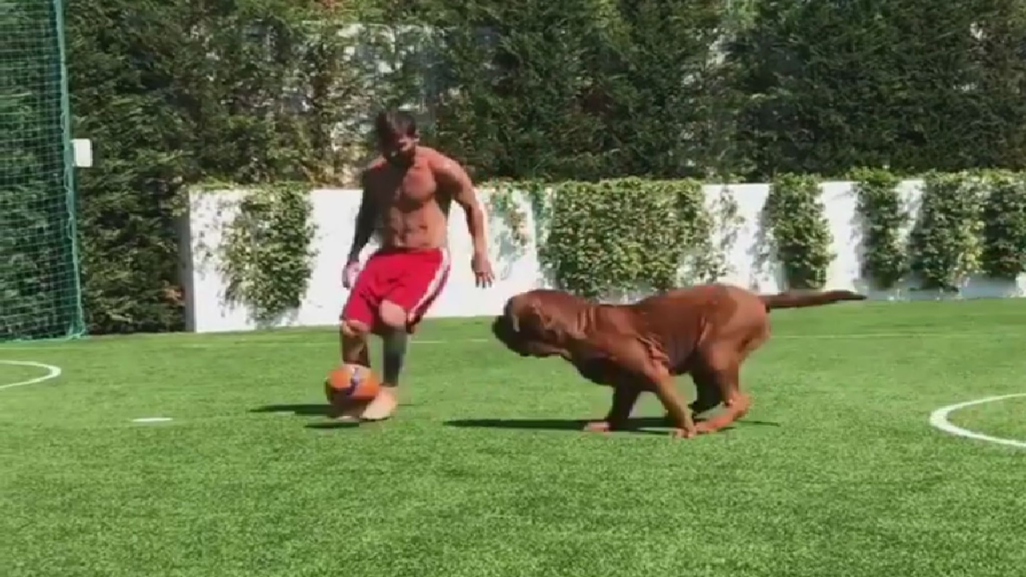 Lionel Messi spielt seinen Hund Hulk schwindelig Fußball News Sky Sport
