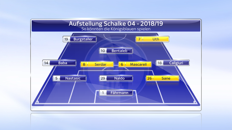 So könnte die neue Schalke-Elf in der kommenden Saison aussehen.