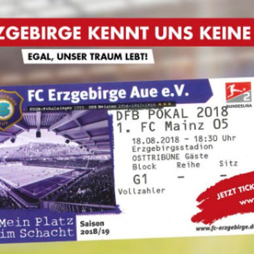 DFB-Pokal: 1. FC Mainz 05? Ticket-Patzer in Aue