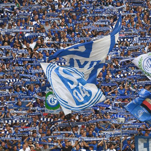 Schalke 04 wird vom DFB bestraft - unsportliches Verhalten