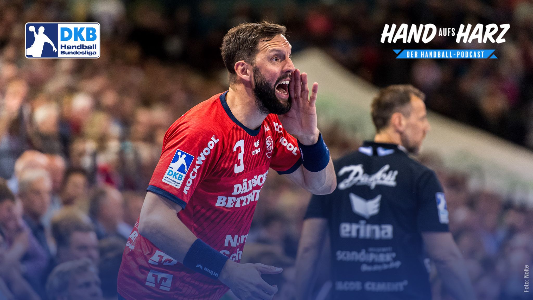 Hand aufs Harz der HandballPodcast alle Folgen Handball News
