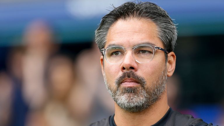 Mit David Wagner wurde bereits ein Trainer verpflichtet, der Schalke wieder zum Erfolg führen soll. Der 47-Jährige bringt zudem Erfahrungen aus der Premier League mit, nachdem er vier Jahre Chef-Coach bei Huddersfield Town war. 