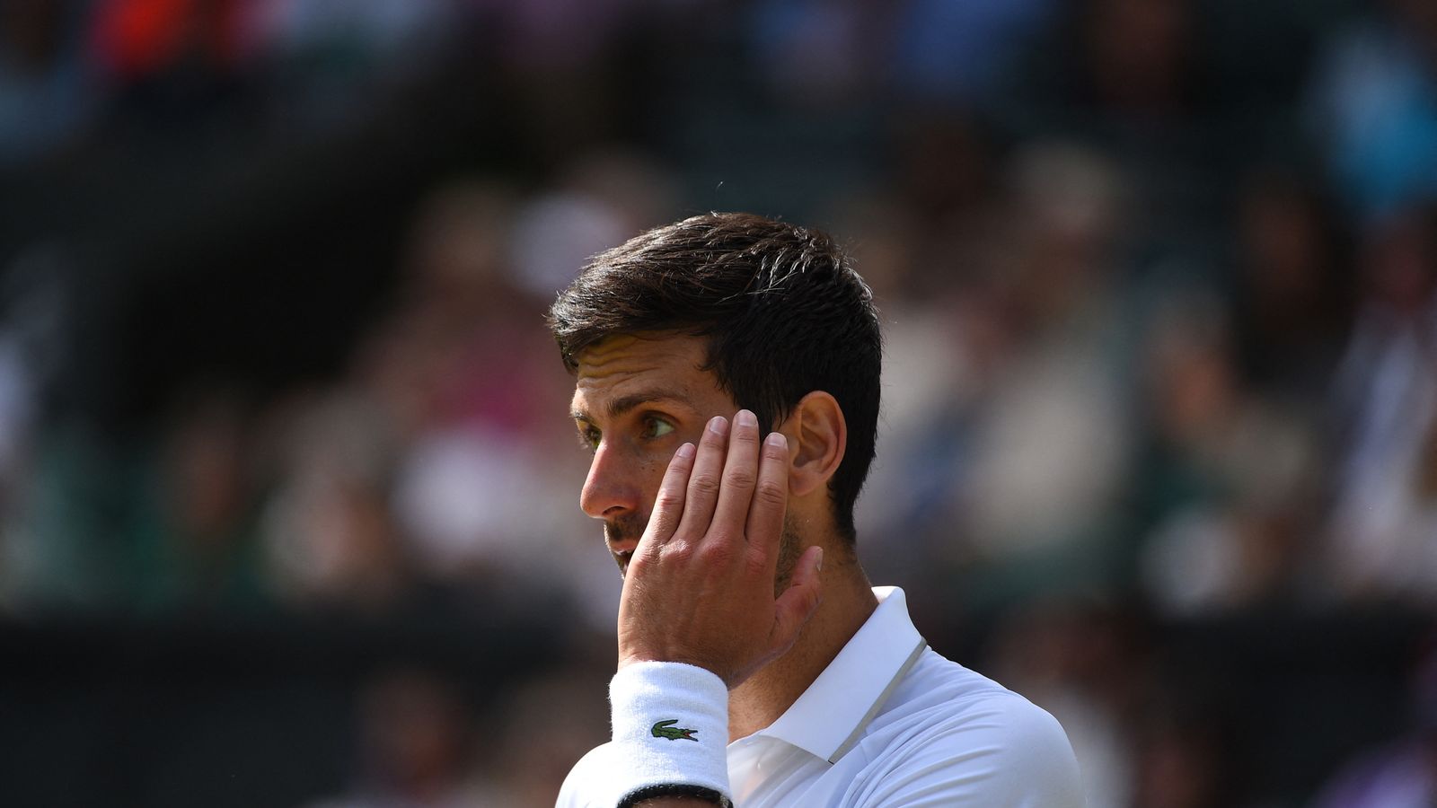 Wimbledon Novak Djokovic durch Fall Gimelstob in Bedrängnis Tennis News Sky Sport