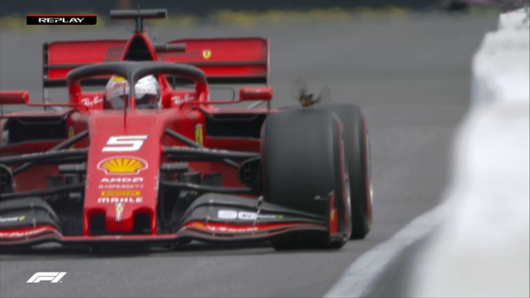 Vogel auf der Strecke.