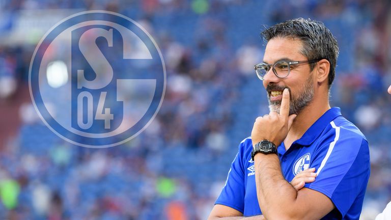 David Wagner und dem FC Schalke fehlen noch ein Top-Stürmer und ein Linksverteidiger.