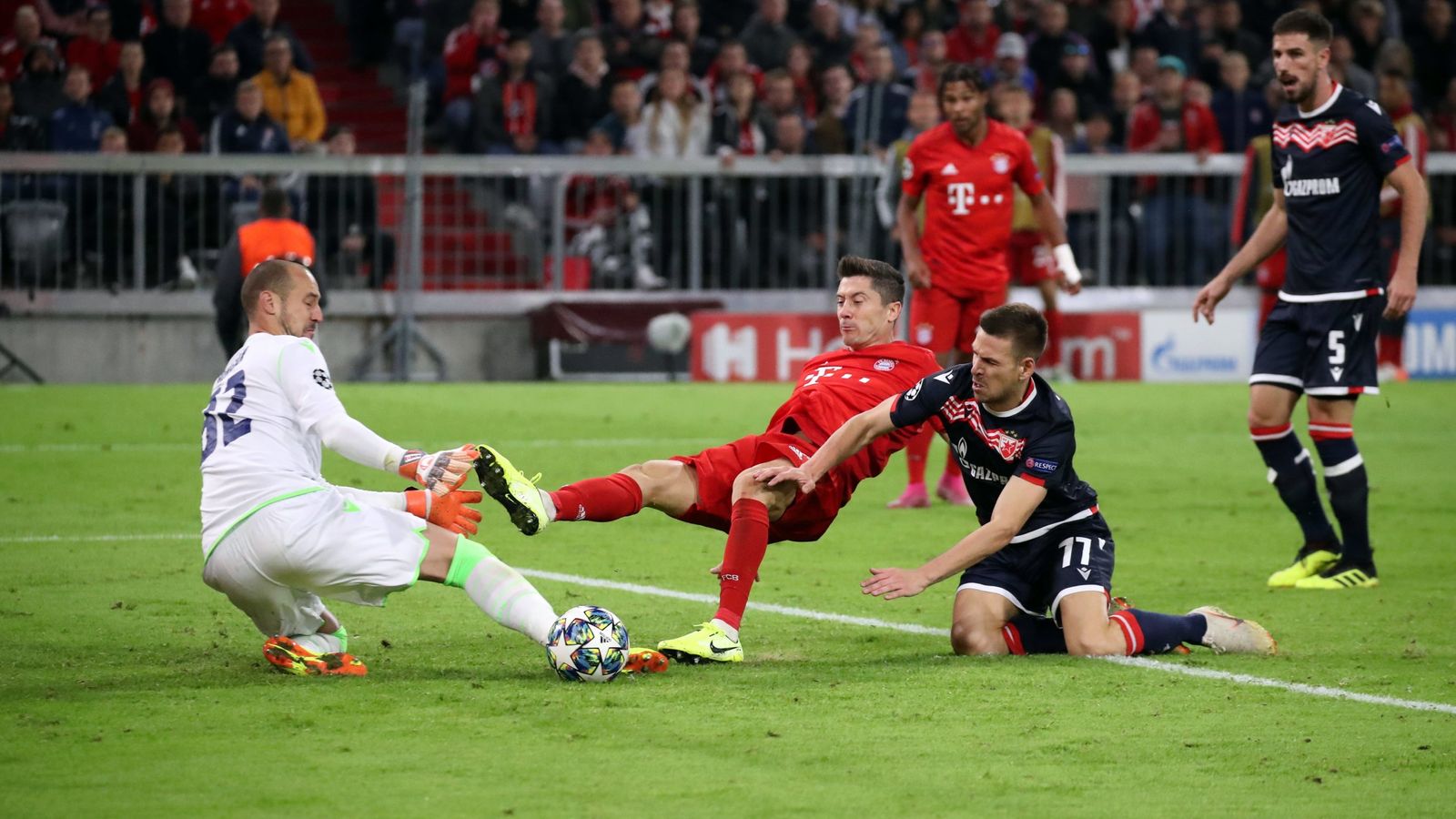 Belgrad Bayern Belgrad Bayern