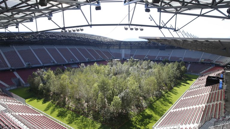 300 Bäume stehen ab Sonntag auf dem Spielfeld des Klagenfurter Stadions. 