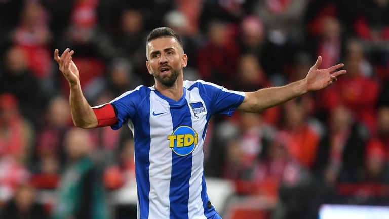 Vedad Ibisevic.