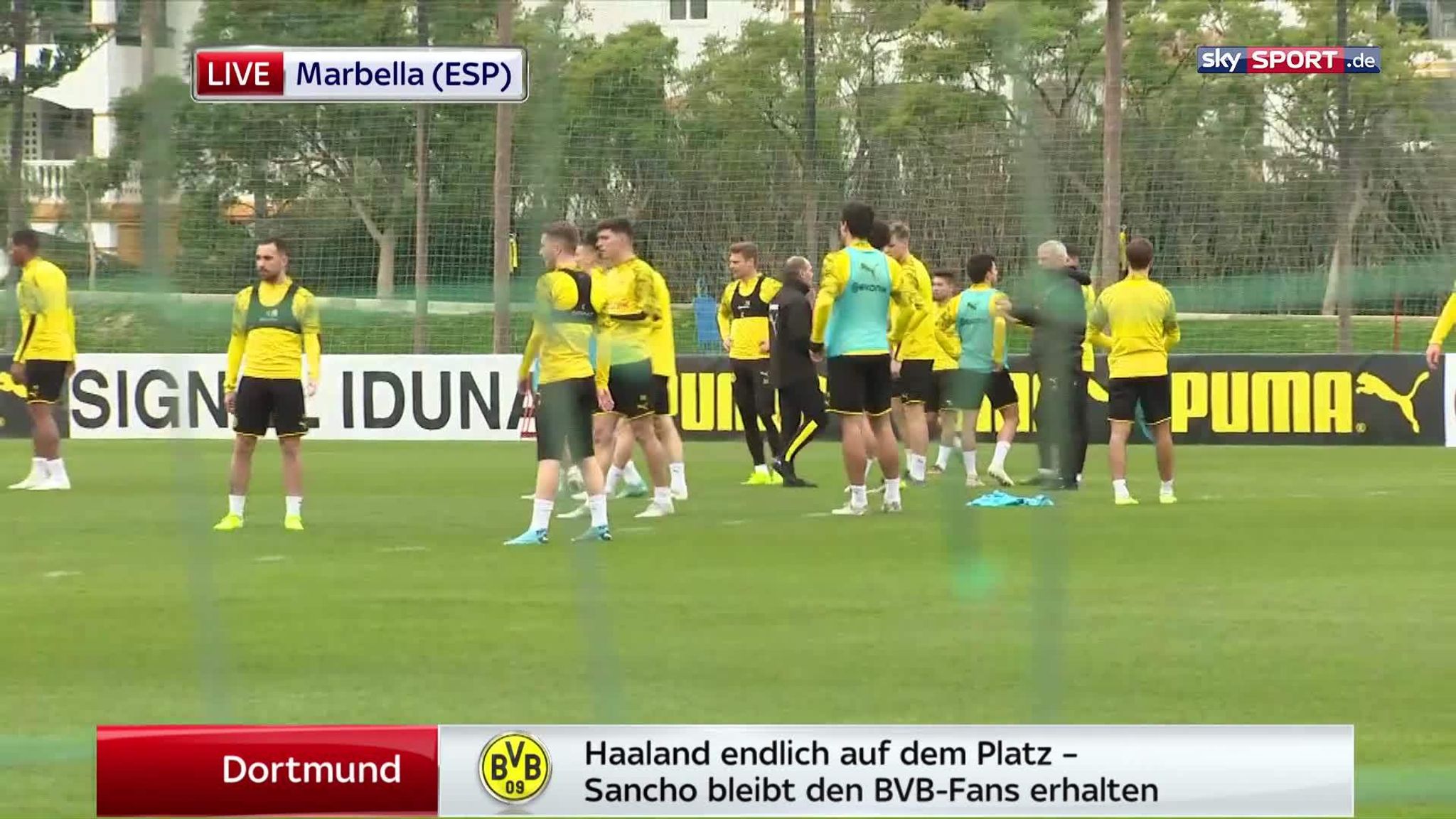 BVB News zu Haaland, Verletzten und Sancho | Fußball News ...