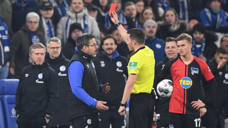 Schalke-Trainer David Wagner sah im Pokal-Spiel gegen Hertha BSC die Rote Karte - diese bleibt aber ohne Folgen.