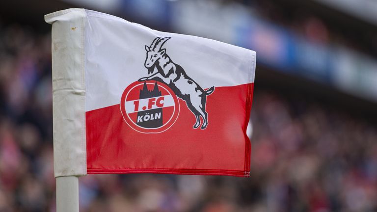 Der Geißbock ziert das Logo des 1. FC Köln. Übrigens: 2016 schaffte es des Wappen bei einer Umfrage der Daily Mail unter die 20 schönsten Logos im Fußball - weltweit.