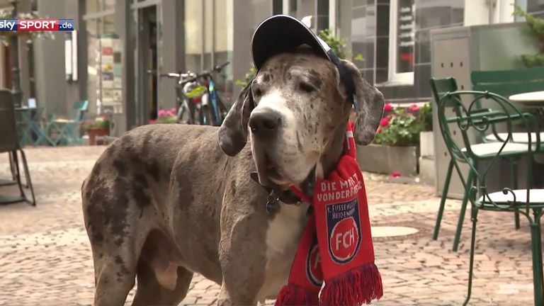 Hercules ist Heidenheims Glücksbringer.