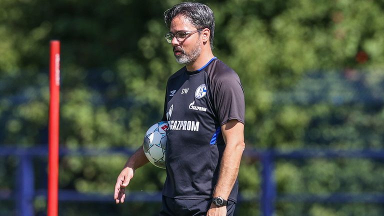 Trainer David Wagner startet mit Schalke 04 am 3. August in die Saisonvorbereitung. 