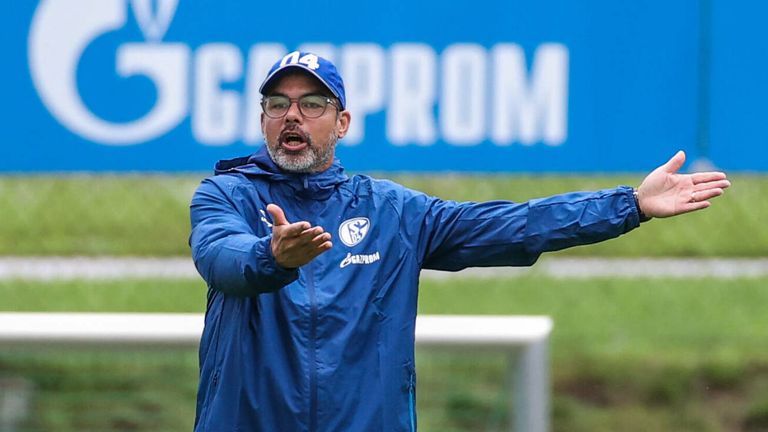Schalke-Trainer David Wagner muss in der Vorbereitung mit besonderen Umständen kämpfen. 
