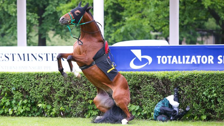 Bilder des Jahres 2020, Sport 05 Mai Sport Themen der Woche KW22 Sport Bilder des Tages Pferdesport, Galopp, Renntag in Warschau, Grease de Bozouls wirft Jockey ab WARSZAWA 31.05.2020 WYSCIGI KONNE TOR SLUZEWIEC SEZON 2020 6. DZIEN WYSCIGOWY --- HORSE RACING 6TH DAY N/Z KON GREASE DE BOZOULS DZOKEJ KAMIL GRZYBOWSKI FOT. ANNA KLEPACZKO/ FOTOPYK / NEWSPIX.PL --- Newspix.pl PUBLICATIONxNOTxINxPOL 200531LUM037
