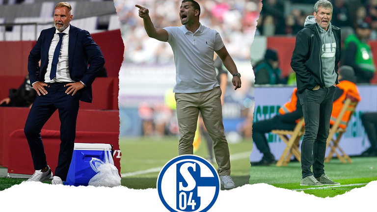 Die Trainerkandidaten auf Schalke.