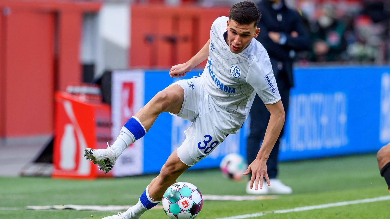 Schalke Transfer News: Oczipka und Stambouli ohne Vertrag ...
