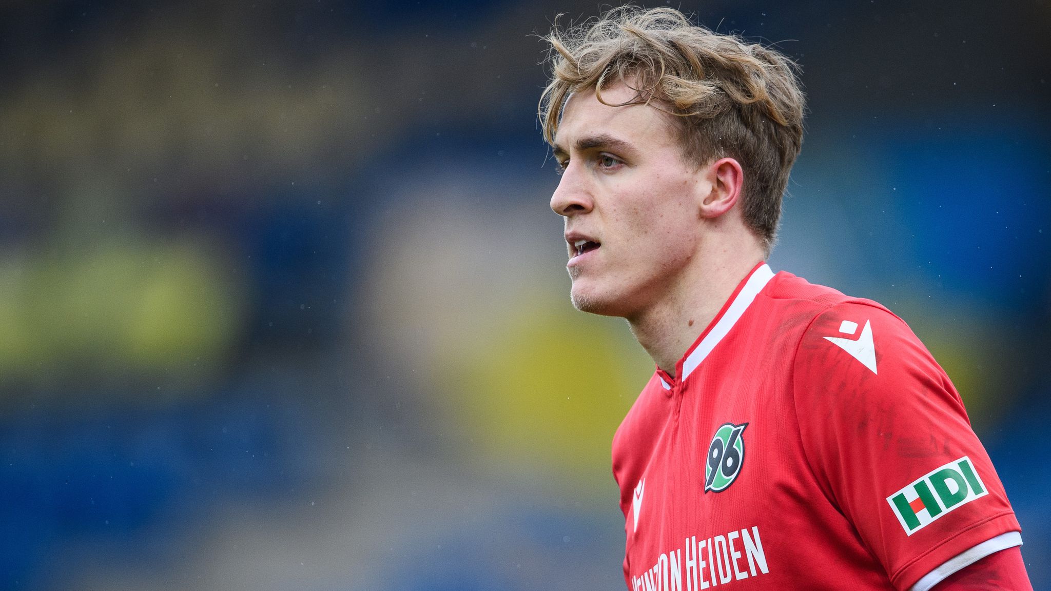 1. FC Köln News: Timo Hübers kommt von Hannover 96 | Fußball News | Sky ...