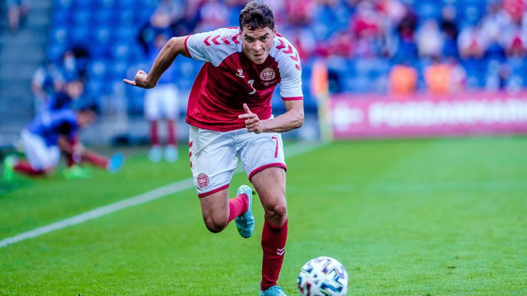 Dänemark: Robert Skov (TSG Hoffenheim)