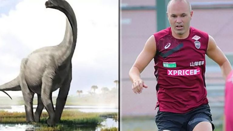 Andres Iniesta (r.) soll nach einem in Burgos entdeckten Dinosaurier benannt werden (Bildquelle: @andresiniesta8).
