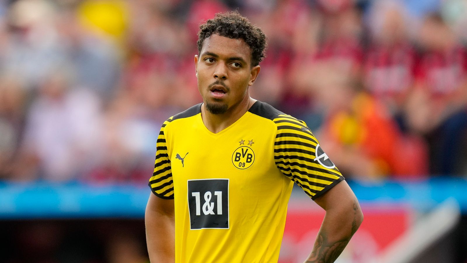 BVB News Donyell Malen Muss Sich Bei Borussia Dortmund Steigern BVB News Donyell Malen Muss Sich Bei Borussia Dortmund Steigern