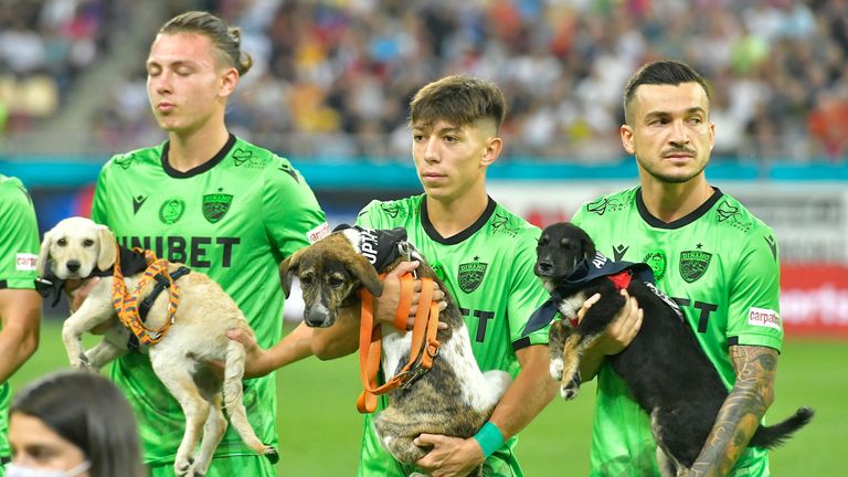Dinamo-Spieler tragen kleine Hunde auf dem Arm.