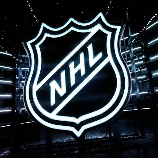 Division, Conference, Playoffs - so funktioniert die NHL
