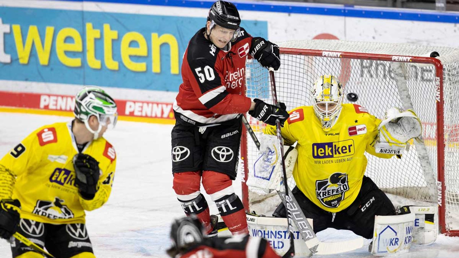 Eishockey News Kölner Haie besiegen die Krefeld Pinguine Eishockey News Sky Sport