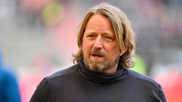 VfB Stuttgart News: Mislintat äußert Sich Zu Neuer Rollenverteilung ...