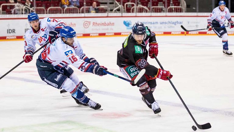 Die Adler Mannheim verlieren bei der Düsseldorfer EG knapp mit 0:1.
