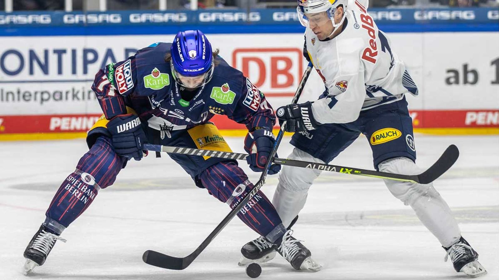DEL München müht sich zum Sieg gegen Eisbären , wilde Partie der Augsburg Panther Eishockey News Sky Sport