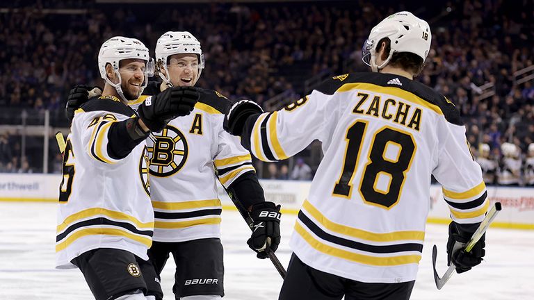 Die Boston Bruins zaubern derzeit in der NHL und gehören zu den Tops der aktuellen Saison. 