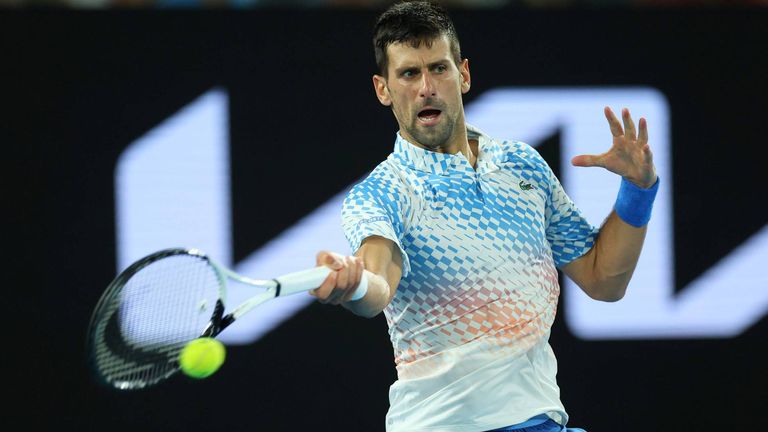 Novak Djokovic steht nach einem Sieg gegen Alex de Minaur im Viertelfinale der Australian Open.