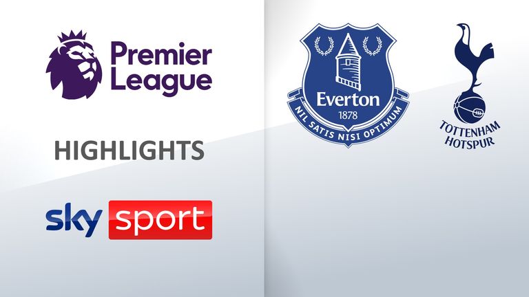 FC Everton - Tottenham Hotspur / Spieltag 29