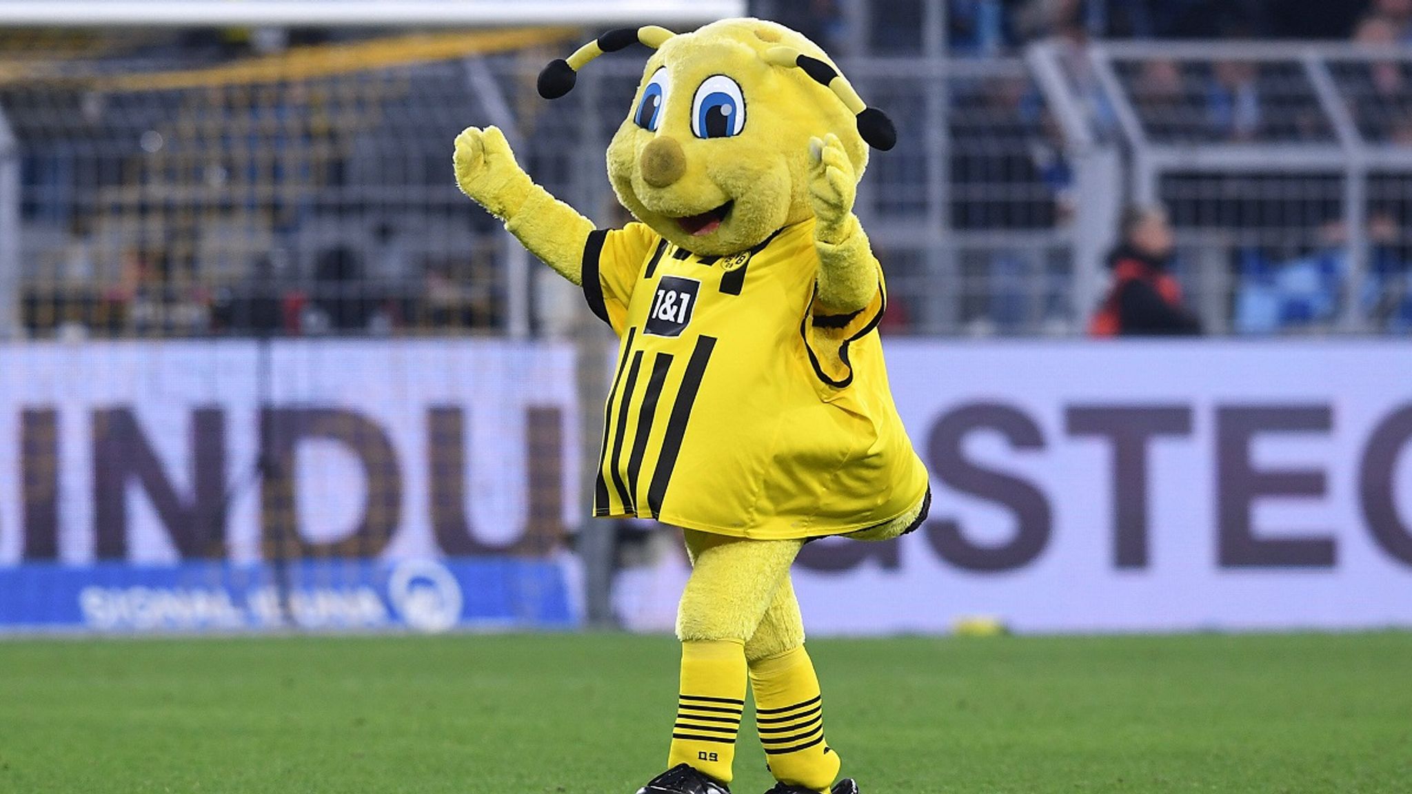 Bundesliga: Maskottchen und Stadionhymne: Bayern nur im unteren Drittel ...