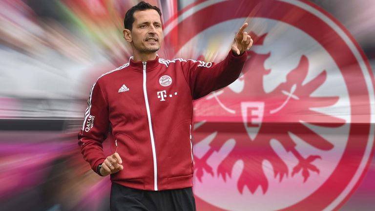 Dino Toppmöller ist neuer Cheftrainer der SGE. 