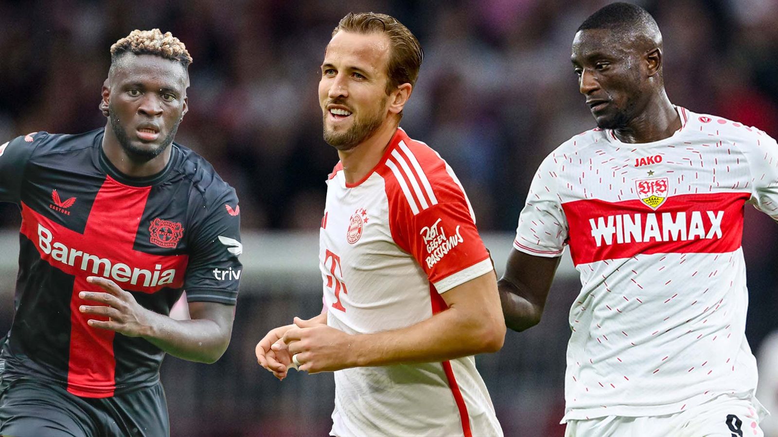 Bundesliga Guirassy, Kane und Boniface treffsicher Fußball News Sky Sport